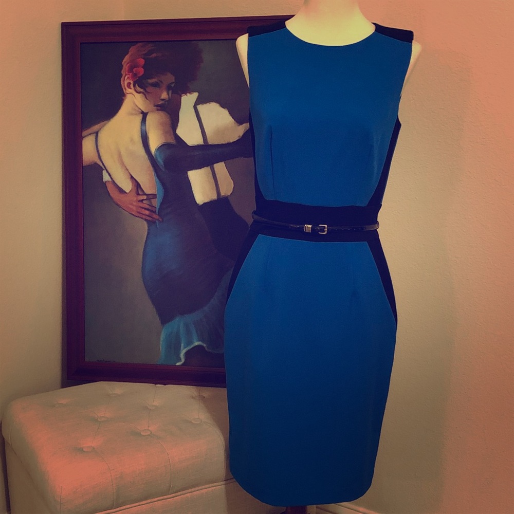 Calvin Klein Colorblock Dress (Blue/Black)